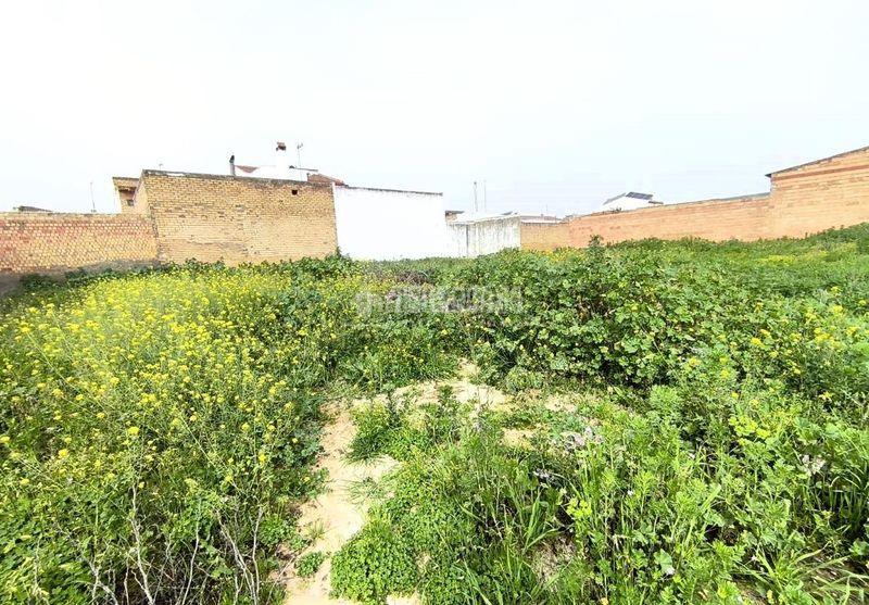 Foto 617ca5b9-8a30-49c5-b6dd-5ec7f50d3d6f. Terreny residencial a Pilas