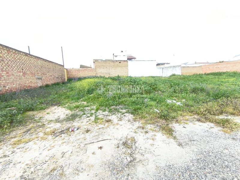 Foto 637fbcb1-6b56-472a-a5c9-0c593bc55c5c. Terreny residencial a Pilas