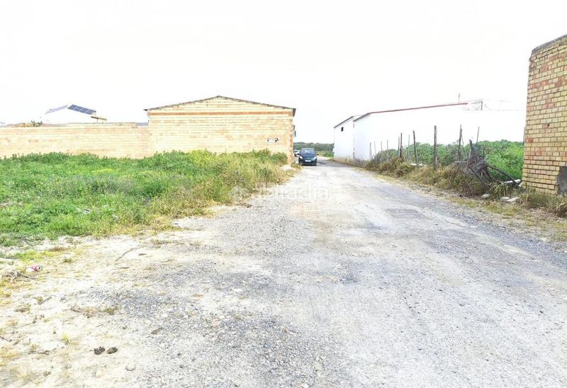 Foto 67a12881-db5c-4d62-80b6-875a9258a6bb. Terreny residencial a Pilas