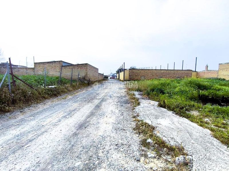 Foto 7ce1d51a-cfa7-43bc-8b84-98f78dbe94f3. Terreny residencial a Pilas