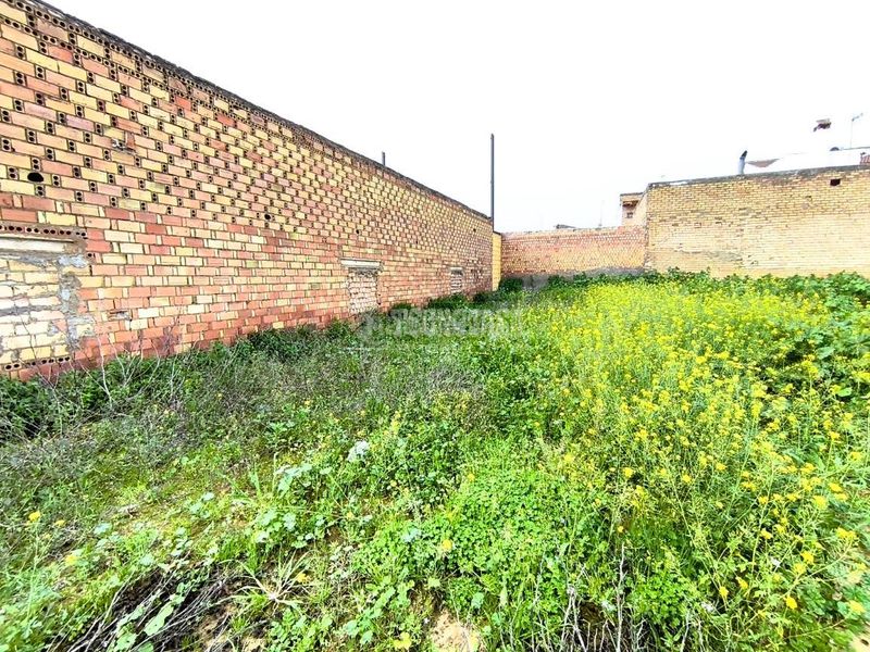 Foto 999c0e67-d7d5-41fe-9962-b168163c2f7c. Terreny residencial a Pilas