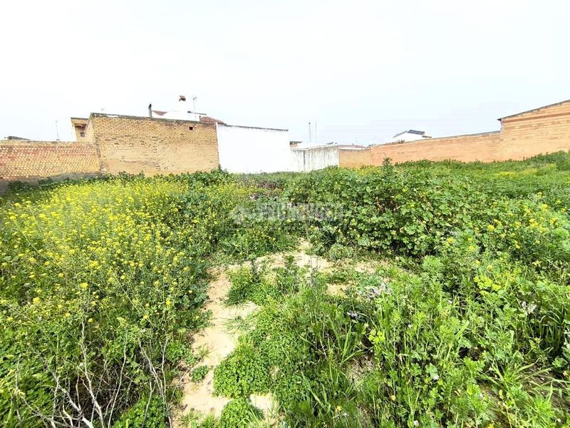 Foto 9f63935c-275f-40a3-a6f1-1db62585daa7. Terreny residencial a Pilas