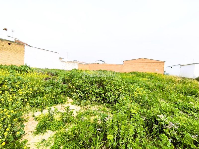 Foto a3d4f73a-642a-4c57-a2f0-2e8c1bda6102. Terreny residencial a Pilas