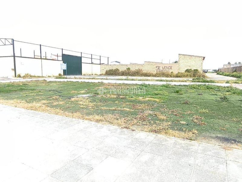 Foto a693fc9c-35f9-46c4-90e7-e7cffdcb1bbe. Terreny residencial a Pilas