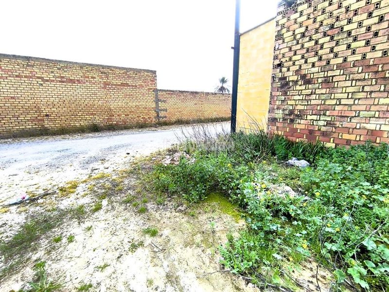 Foto b8686700-1f50-4d78-9013-d70eb0d9d3de. Terreny residencial a Pilas