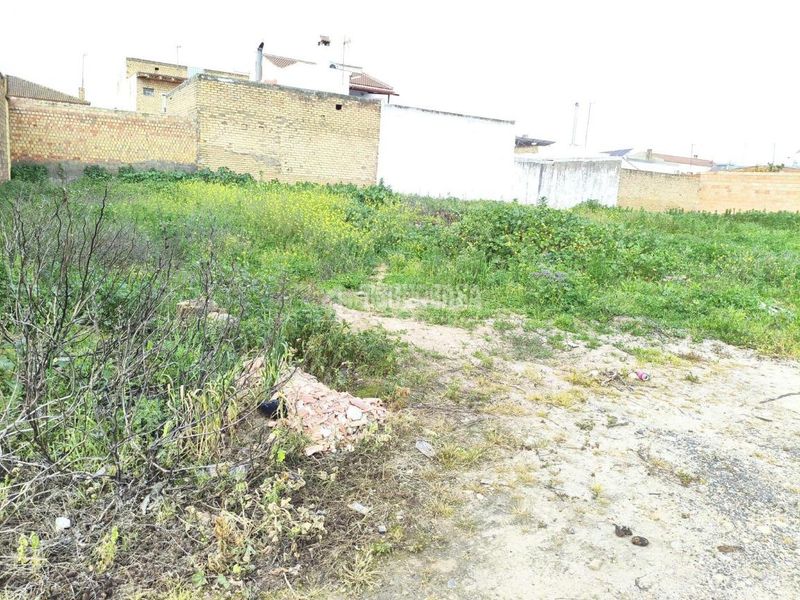 Foto bb6af7e9-a16e-40ad-ab45-2a804ab55518. Terreny residencial a Pilas