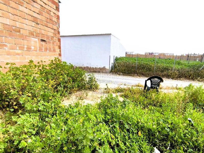 Foto bb78c721-15d2-4188-9179-d80379674a72. Terreny residencial a Pilas