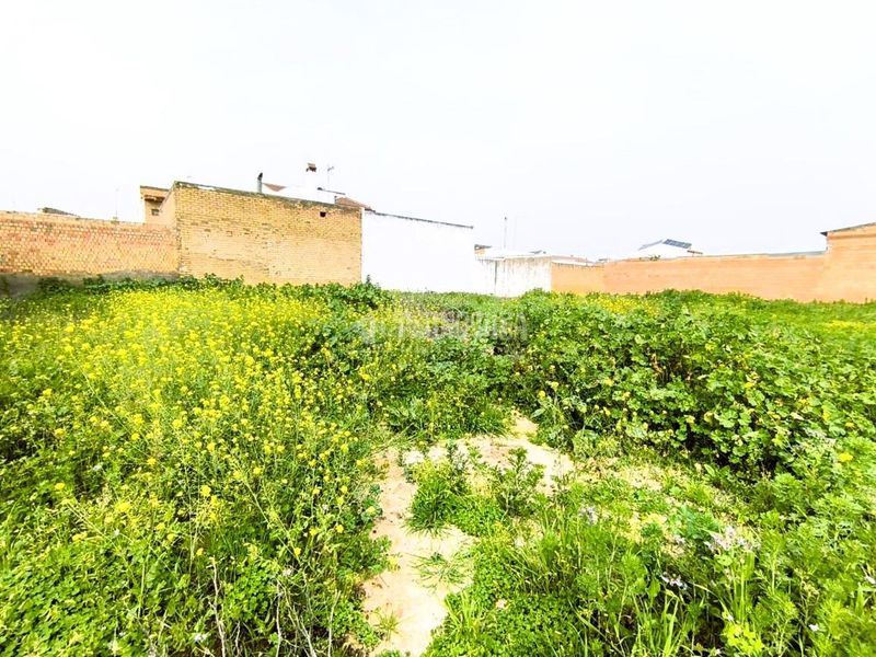 Foto d4474756-e9fd-4529-833e-e138b6876443. Terreny residencial a Pilas