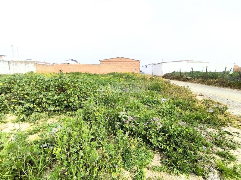 Foto f0b0e280-8737-4907-a135-75122d99a587. Terreny residencial a Pilas