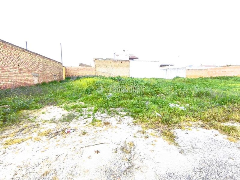 Foto f4a08623-cb0b-447e-aa90-dd48d3fc1d20. Terreny residencial a Pilas