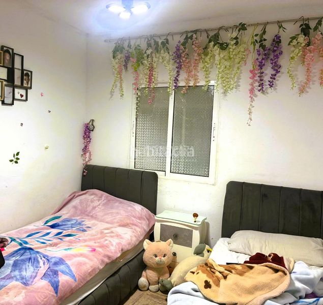 Foto 63ec4793-c221-4d8d-a182-20d4ab9f5b8e. Pis a Pilas