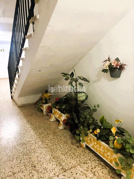 Foto 756dfae3-b562-4002-9472-f954605e528f. Pis a Pilas