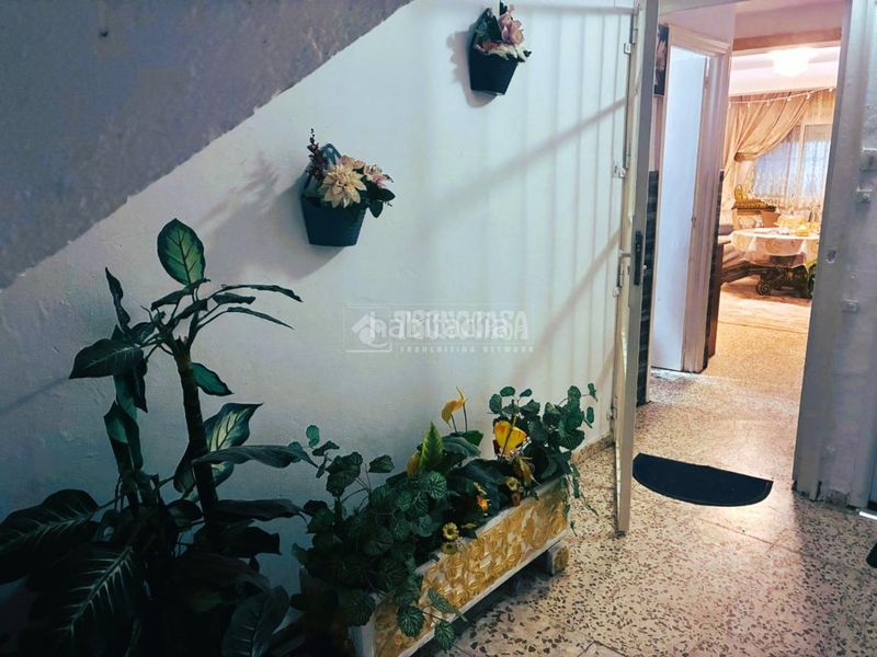 Foto d7a94c3a-dca0-4f78-bbfd-2156a0a329cf. Pis a Pilas