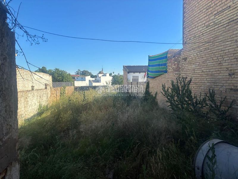 Foto a37f803b-af1e-489b-aaad-23e7fb448c41. Terreny residencial a Pilas