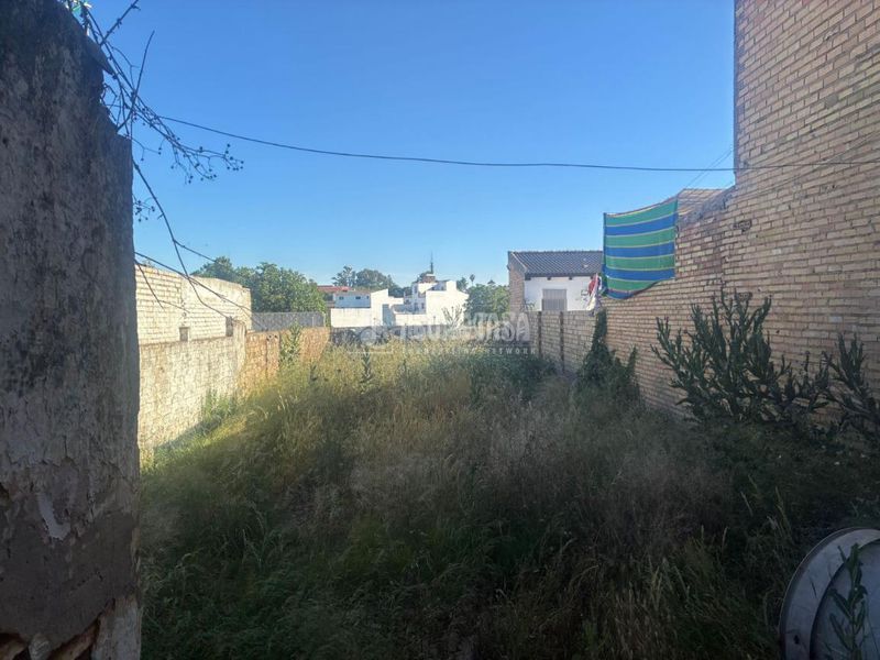 Foto d69a6333-2c09-46cb-a485-31f99f2ad854. Terreny residencial a Pilas