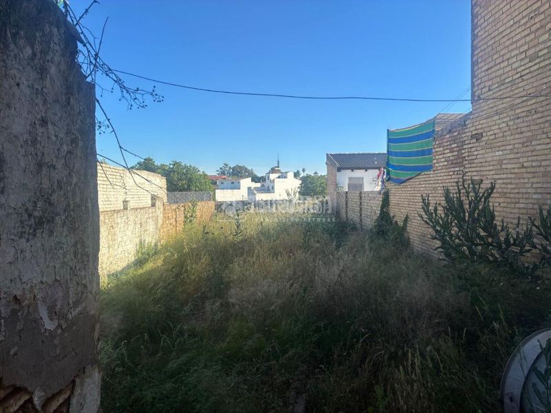Foto e1bc2474-30d2-4a74-a860-fdc26efff5bc. Terreny residencial a Pilas