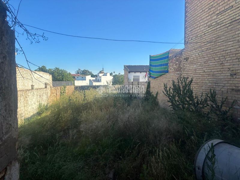 Foto e4a3d0ce-aa6a-4e95-915c-6f1f93933a22. Terreny residencial a Pilas