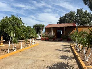Masia a Pilas. Casa rural en venta en pilas
