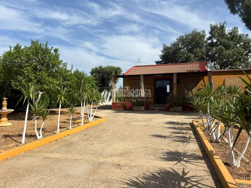 Foto 714a301c-7512-4f48-9dc2-a8ab166ca5f1. Masia a Pilas