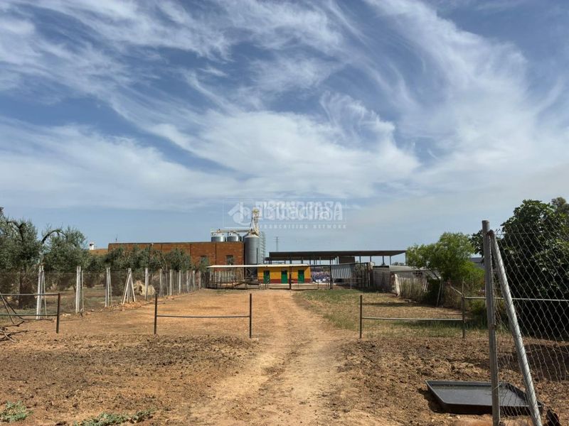 Foto ed145835-16f4-4c6a-b683-174cd4f9dd98. Masia a Pilas