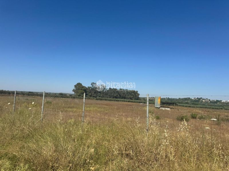 Foto 16aa0c47-55c1-4949-9d7a-977c1425c610. Finca rústica a Pilas