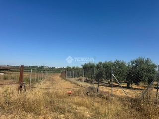 Rural plot in Pilas. Terrenos en venta en pilas