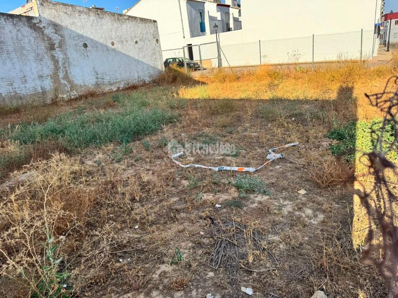 Foto d04694f9-510b-4e6b-b68a-7f097e30e22b. Terreny residencial a Pilas