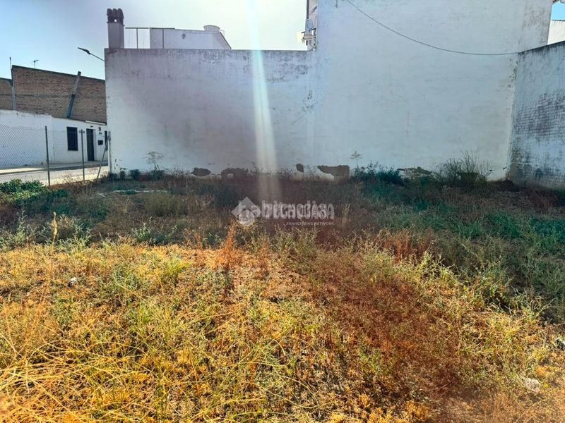 Foto e522b2fe-31da-4ee6-bf59-ea9ca958665b. Terreny residencial a Pilas