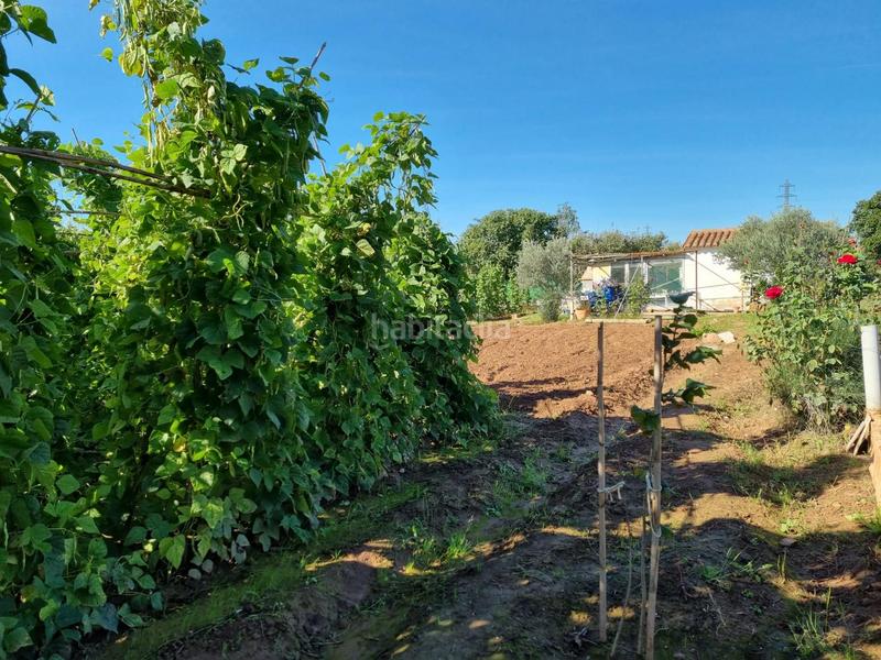 Foto 1286d7da-4ba7-415c-995f-2ab178dffe3a. Terreno residencial en del grau finca rústica de regadio en venta en Manresa