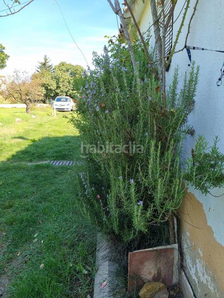 Foto 61549918-c20d-4f72-8912-1f21a9a8e257. Terreno residencial en del grau finca rústica de regadio en venta en Manresa