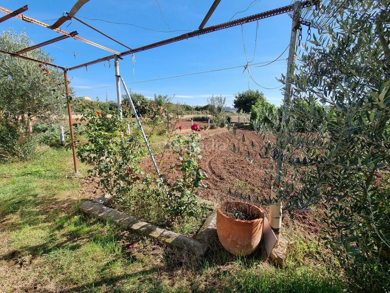 Foto 96a92b19-794c-4116-9009-228579575d12. Terreno residencial en del grau finca rústica de regadio en venta en Manresa