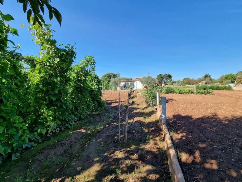Foto c8a88a08-8cda-4178-8894-a8fd414186cf. Terreno residencial en del grau finca rústica de regadio en venta en Manresa