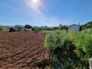 Terreny residencial a Del grau. Finca rústica de regadio en venta
