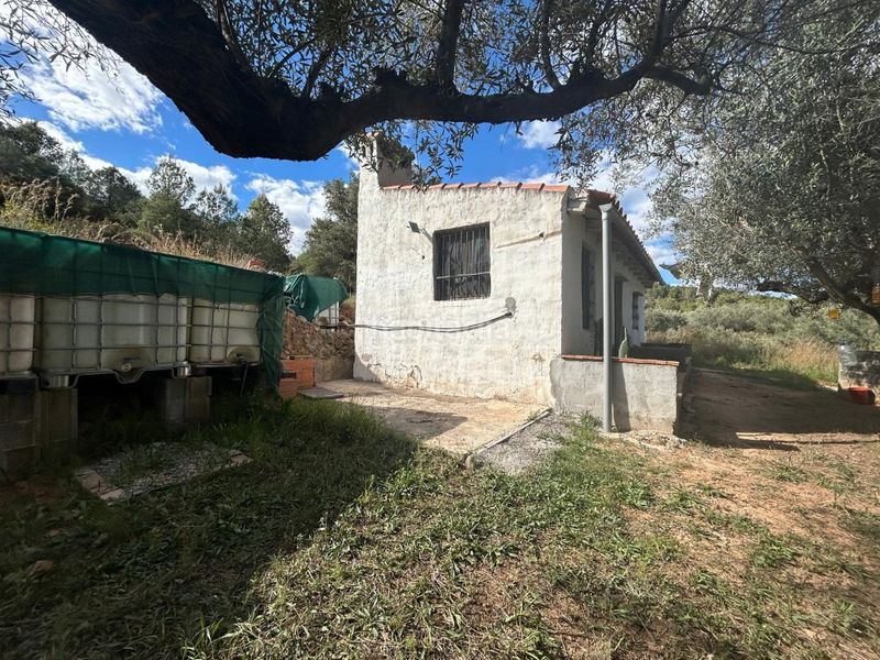 Foto 0f150705-a672-4e31-93fb-beeb5ed87a44. Masia a Altura