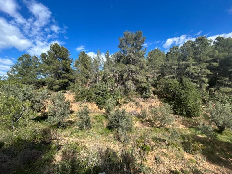 Foto 30276f1f-ba3a-434c-9854-e6eb998a7e9d. Masia a Altura