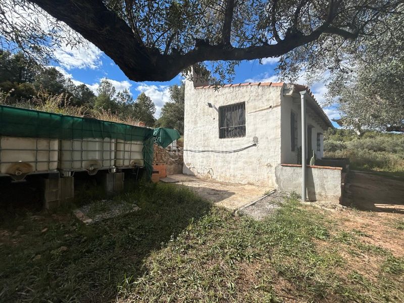 Foto 4f71dd06-7aee-4c46-b630-79b70e11052d. Masia a Altura