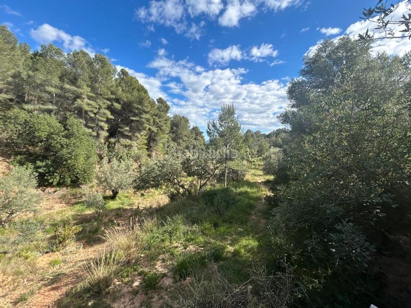 Foto 9b257a8a-ae10-4c0a-84b3-1096a67a132f. Masia a Altura