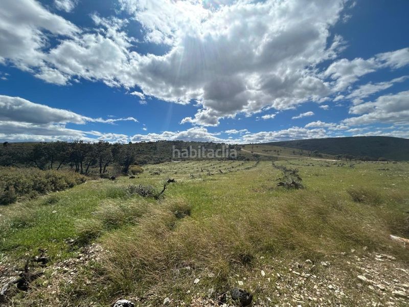 Foto 3ff25e9b-4211-4598-8a63-72f7f88af228. Masía se vende casa de monte en termino jerica en Altura