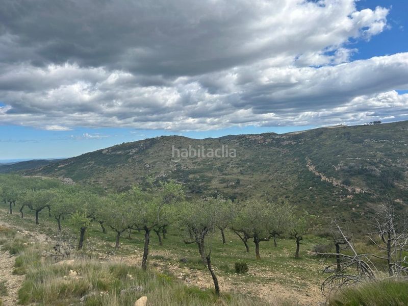 Foto fb16de87-231d-4f7d-a14c-9c62652f5c10. Masía se vende casa de monte en termino jerica en Altura
