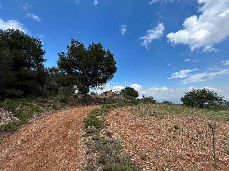 Foto f2376d99-d66f-44e7-9152-81ffb3b24afe. Casa a Altura