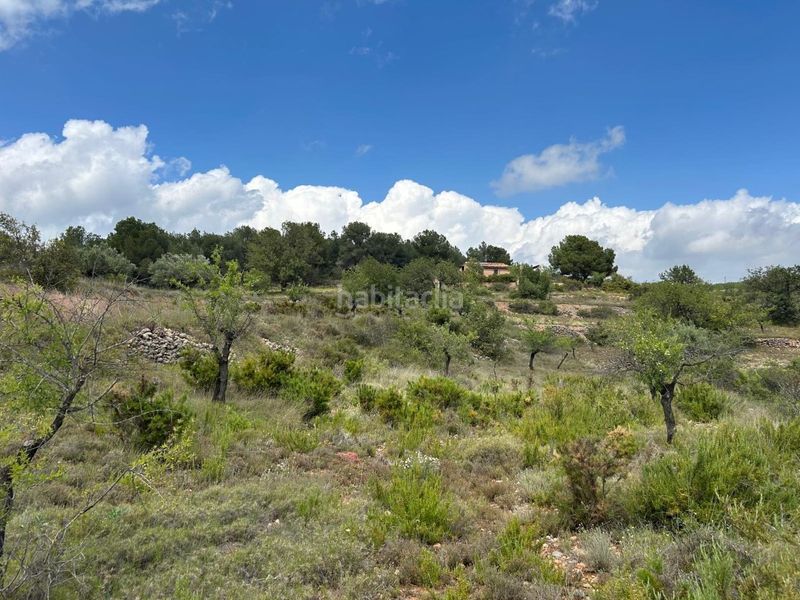 Foto f9f024e1-95b4-47c6-a7b9-5498b9196f5b. Casa a Altura