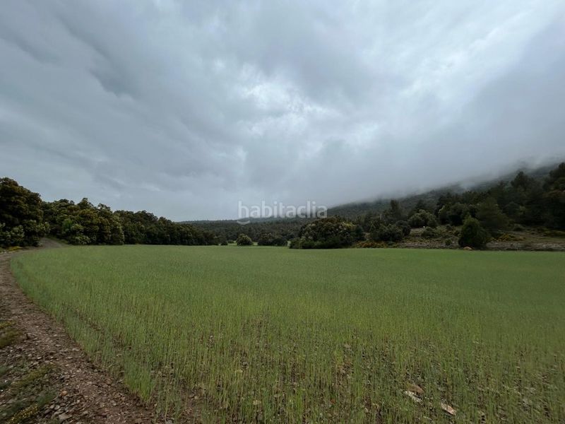 Foto 129f6dc6-d8b6-495d-89d7-77505b3b2824. Masia a Toro (El)