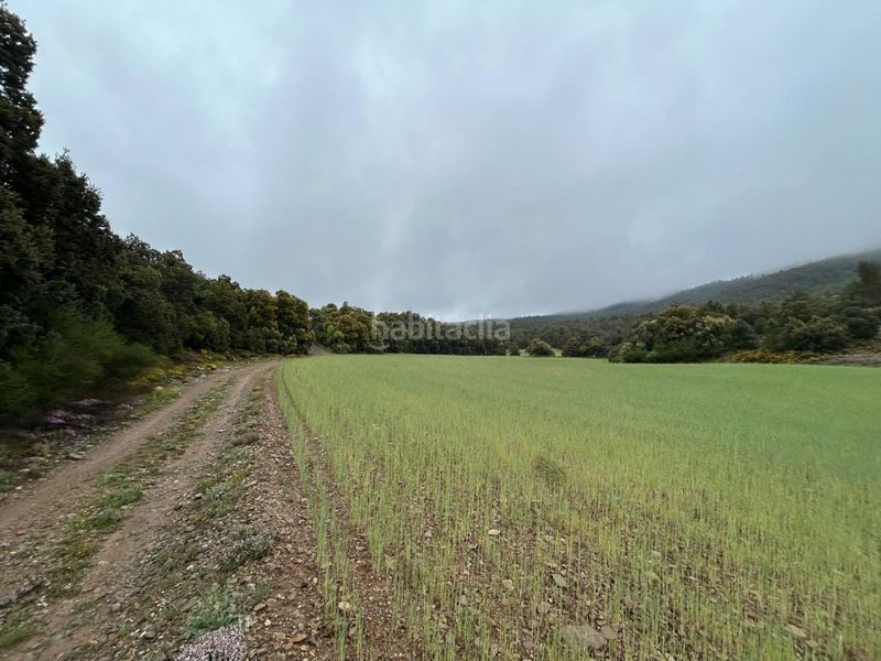 Foto 56a6911f-5a96-4e6c-b2c5-184751c1e2c6. Masia a Toro (El)