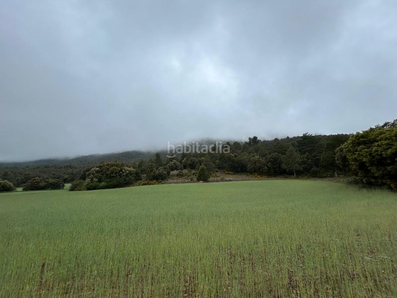 Foto 608f1fb2-f89c-41c8-9b09-608649e5d2e1. Masia a Toro (El)