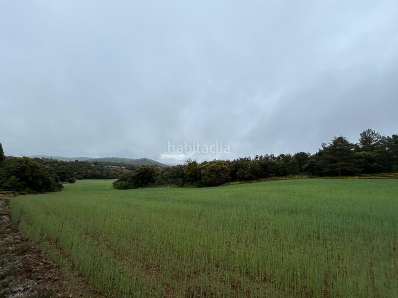 Foto c82e6021-05be-4ba2-8c19-5342a34911be. Masia a Toro (El)