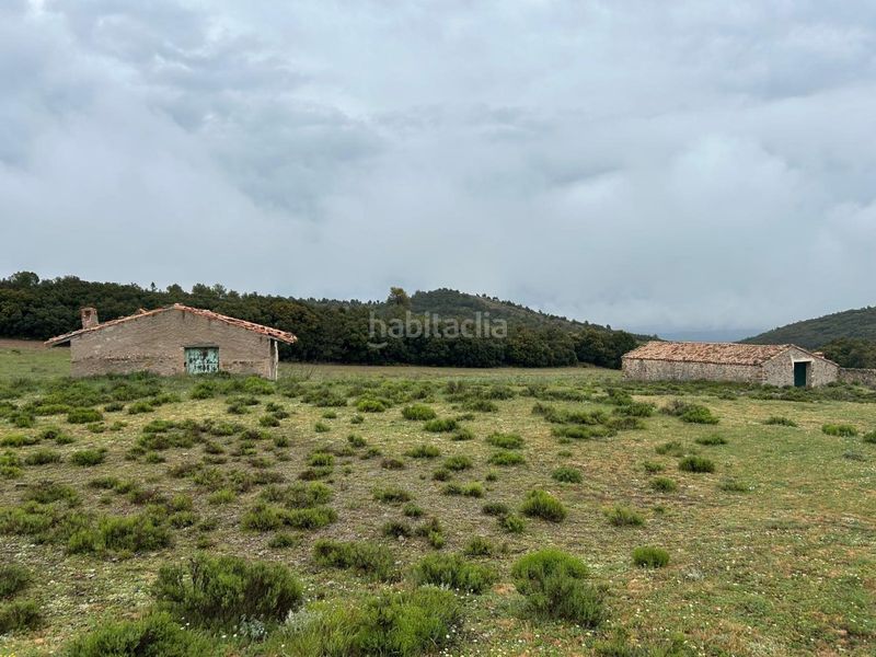 Foto de3c5b1e-c9db-4125-b26c-17e4e0fc93e5. Masia a Toro (El)