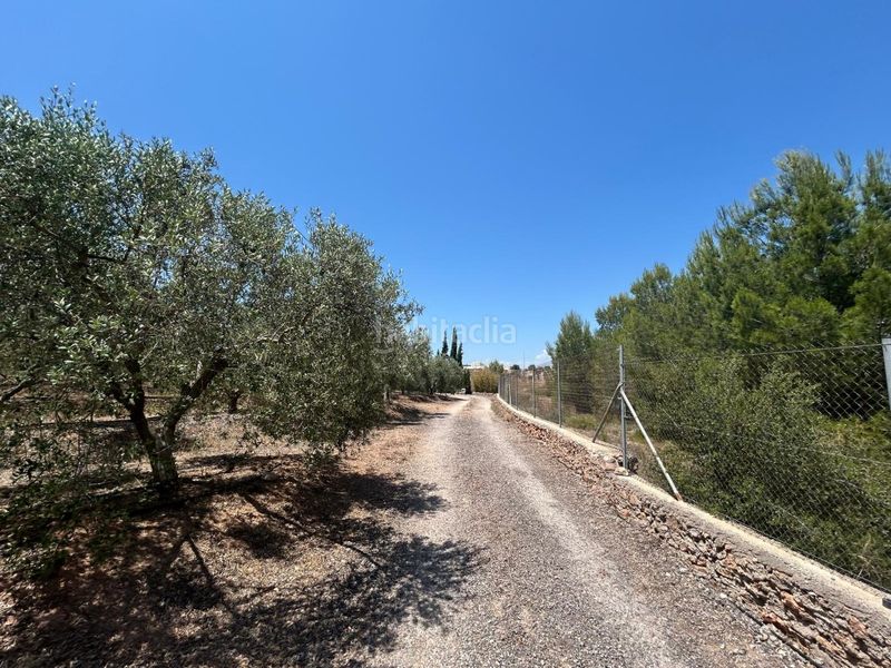 Foto 91589de1-1b4f-45b1-86b3-55131586a953. Masia a Sot De Ferrer