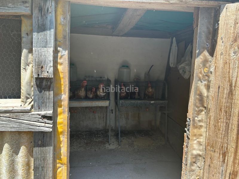 Foto bbf1b0a8-7730-4213-89ed-76286d274dbc. Masia a Sot De Ferrer