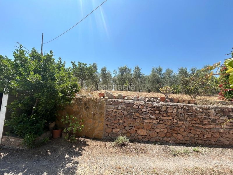 Foto d98be53b-686d-4d07-b3ce-3082b39f3f0b. Masia a Sot De Ferrer