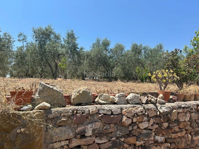 Foto e3cd0fdd-e550-4cda-a5ca-29d0c3b63544. Masia a Sot De Ferrer